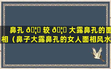 鼻孔 🦁 较 🦁 大露鼻孔的面相（鼻子大露鼻孔的女人面相风水）